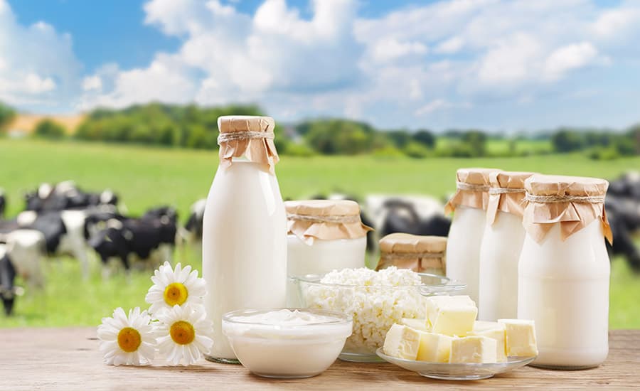 Pure Dairy Solutions