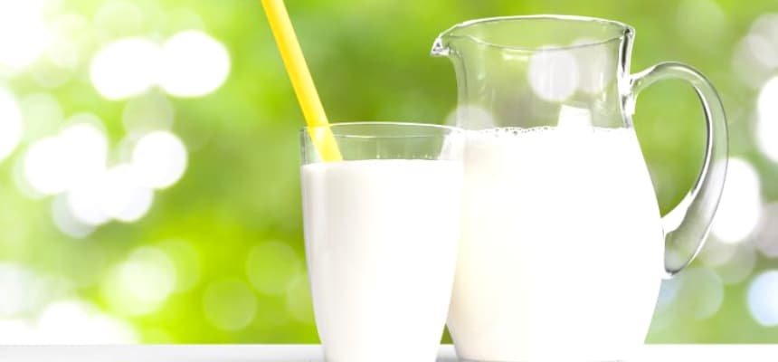 Nirvdit Dairy Products Pvt. LTD.